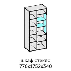 Аллегро-10 Шкаф 2дв. (со стеклом) (дуб крафт золотой-камень темный) в Копейске - kopejsk.mebel24.online | фото 2