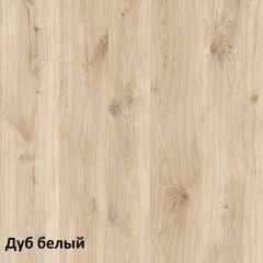 Эйп Шкаф для одежды 13.334 в Копейске - kopejsk.mebel24.online | фото 5