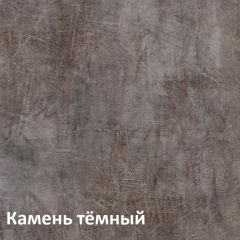 Крафт Полка для обуви 15.63 в Копейске - kopejsk.mebel24.online | фото 4