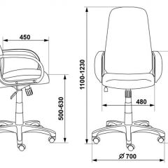 Кресло руководителя Бюрократ CH-808AXSN/G темно-серый 3C1 в Копейске - kopejsk.mebel24.online | фото 3