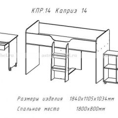 КАПРИЗ-14 Кровать 800 двухъярусная без рисунка в Копейске - kopejsk.mebel24.online | фото 2