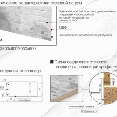 Кухонный фартук со столешницей (А-010) в едином стиле (3050 мм) в Копейске - kopejsk.mebel24.online | фото 6