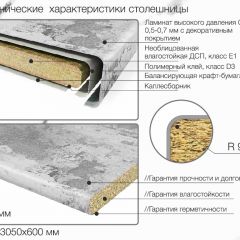 Кухонный фартук со столешницей (А-011) в едином стиле (3050 мм) в Копейске - kopejsk.mebel24.online | фото 6