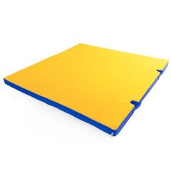 Мат гимнастический 1х1х0,05м с вырезом под стойки цв. синий-желтый в Копейске - kopejsk.mebel24.online | фото