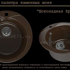 Мойка кухонная MS-1 (D470) в Копейске - kopejsk.mebel24.online | фото 11