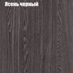 Прихожая ДИАНА-4 сек №10 (Ясень анкор/Дуб эльза) в Копейске - kopejsk.mebel24.online | фото 3