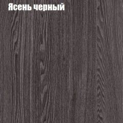 Прихожая ДИАНА-4 сек №11 (Ясень анкор/Дуб эльза) в Копейске - kopejsk.mebel24.online | фото 3