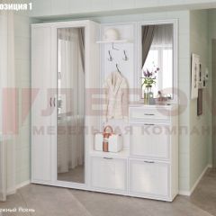 Прихожая Карина (модульная) в Копейске - kopejsk.mebel24.online | фото 3