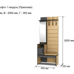 ОЛЬГА-ЛОФТ 1 Прихожая в Копейске - kopejsk.mebel24.online | фото 4