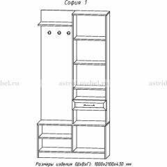 Прихожая София 1 в Копейске - kopejsk.mebel24.online | фото 3