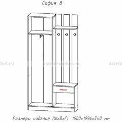 Прихожая София 8 в Копейске - kopejsk.mebel24.online | фото 2