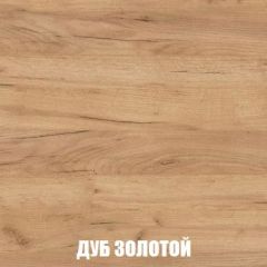 Шкаф 2-х створчатый МСП-1 (Дуб Золотой/Камень темный) в Копейске - kopejsk.mebel24.online | фото 4