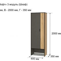 ОЛЬГА-ЛОФТ 3 Шкаф 2-х створчатый в Копейске - kopejsk.mebel24.online | фото 4