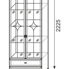 Шкаф для посуды 2-х дверный Венеция 16 бодега в Копейске - kopejsk.mebel24.online | фото 3