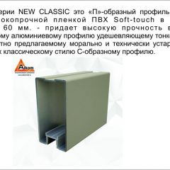 Шкаф-купе 1500 серии NEW CLASSIC K3+K3+B2+PL1 (2 ящика+1 штанга) профиль «Капучино» в Копейске - kopejsk.mebel24.online | фото 5