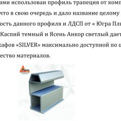 Шкаф-купе 1500 серии SILVER S1+S1+B2+PL2 (2 ящика+1 штанга+1 полка) профиль «Серебро» в Копейске - kopejsk.mebel24.online | фото 4