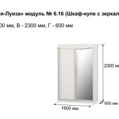 Шкаф-купе 1600 с зеркалом "Мария-Луиза 6.16" в Копейске - kopejsk.mebel24.online | фото 4