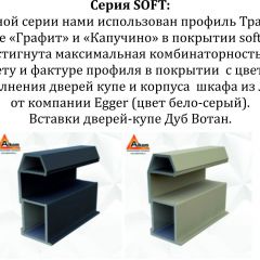 Шкаф-купе 1600 серии SOFT D8+D2+B2+PL4 (2 ящика+F обр.штанга) профиль «Графит» в Копейске - kopejsk.mebel24.online | фото 12