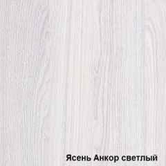 Шкаф-купе №19 Серия 3 Квадро (1500) Ясень Анкор светлый в Копейске - kopejsk.mebel24.online | фото 2