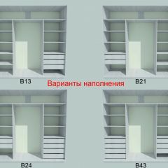 Шкаф-купе 2250 серии SILVER S3+S1+S4 B22+PL3 (по 2 ящика лев/прав+2 штанги) профиль «Серебро» в Копейске - kopejsk.mebel24.online | фото 5
