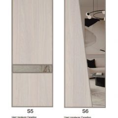Шкаф-купе 2250 серии SILVER S3+S1+S4 B22+PL3 (по 2 ящика лев/прав+2 штанги) профиль «Серебро» в Копейске - kopejsk.mebel24.online | фото 14