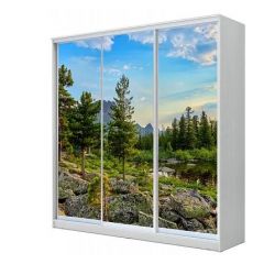 Шкаф-купе ХИТ 23-20/2-777 (620) в Копейске - kopejsk.mebel24.online | фото