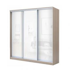 Шкаф-купе ХИТ 24-4-20-888 (420) в Копейске - kopejsk.mebel24.online | фото 7