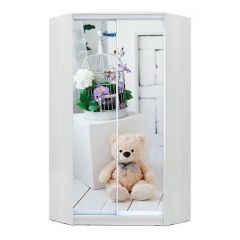 Шкаф-купе ХИТ-У-23-4-77 в Копейске - kopejsk.mebel24.online | фото