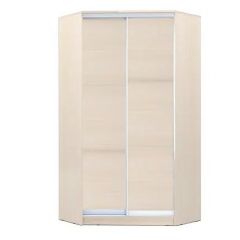 Шкаф-купе ХИТ-У-L-22-64-11 в Копейске - kopejsk.mebel24.online | фото
