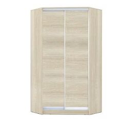 Шкаф-купе ХИТ-У-L-22-64-11 в Копейске - kopejsk.mebel24.online | фото 7