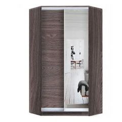 Шкаф-купе ХИТ-У-L-24-64-15 в Копейске - kopejsk.mebel24.online | фото 11