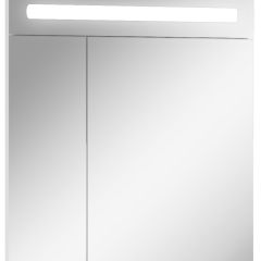 Шкаф-зеркало Аврора 65 с подсветкой LED Домино (DV8006HZ) в Копейске - kopejsk.mebel24.online | фото 1