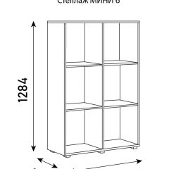 Стеллаж Мини 6 в Копейске - kopejsk.mebel24.online | фото 6