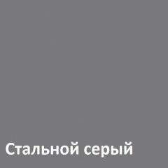 Торонто Шкаф для одежды 13.333 в Копейске - kopejsk.mebel24.online | фото 4