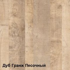 Трувор Шкаф для одежды 13.328.02 в Копейске - kopejsk.mebel24.online | фото 4