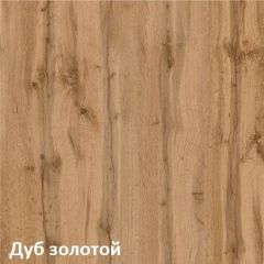 Вуди Шкаф для одежды 13.138 в Копейске - kopejsk.mebel24.online | фото 4