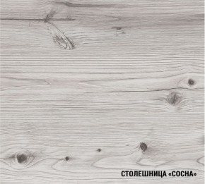 АСАЯ Кухонный гарнитур Экстра (3000 мм) в Копейске - kopejsk.mebel24.online | фото 8