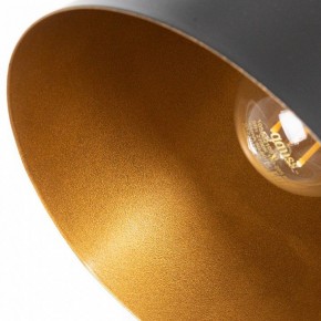 Бра Arte Lamp Thomas A7032AP-1BK в Копейске - kopejsk.mebel24.online | фото 10