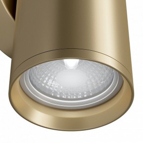 Бра Maytoni Focus S C068WL-02MG в Копейске - kopejsk.mebel24.online | фото 4