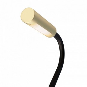 Бра Maytoni Stem C035WL-L3MG3K в Копейске - kopejsk.mebel24.online | фото 6
