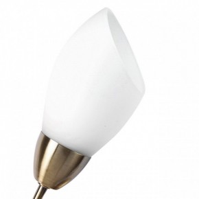 Бра MW-Light Нежность 7 356023001 в Копейске - kopejsk.mebel24.online | фото 2