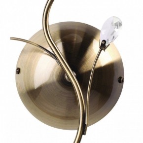 Бра MW-Light Нежность 7 356023001 в Копейске - kopejsk.mebel24.online | фото 3