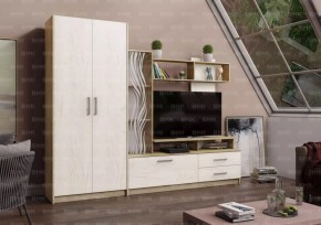 ДАРЬЯ Гостиная (Крафт серый/Крафт белый) в Копейске - kopejsk.mebel24.online | фото