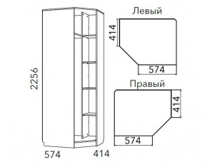 Детская Фанк Шкаф угловой Левый/Правый НМ 013.04-02 М в Копейске - kopejsk.mebel24.online | фото 3