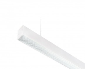 DK9124-WH Линейный светильник 30W 1250mm 4000K, белый в Копейске - kopejsk.mebel24.online | фото 2