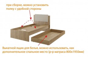 Дуглас (подростковая) М14 Кровать в Копейске - kopejsk.mebel24.online | фото 5