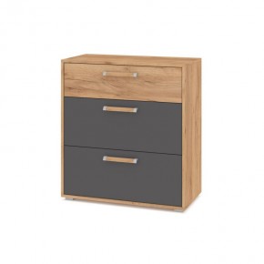 ФЛОРИДА Ф41 Комод (дуб золотой/графит) в Копейске - kopejsk.mebel24.online | фото