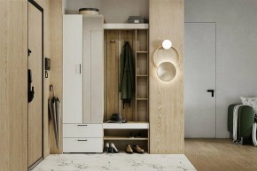 Гарнитур для прихожей Торонто в Копейске - kopejsk.mebel24.online | фото 5