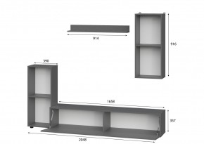 Гостиная МГС 10 (Графит) в Копейске - kopejsk.mebel24.online | фото 2