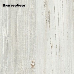 Компьютерный стол "СК-5" Велес в Копейске - kopejsk.mebel24.online | фото 4